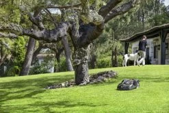 Husqvarna 440 Automower Actie -Husqvarna 967673312 5 Husqvarna20Automower2044020gazon204000m.jpg